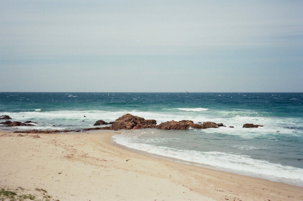 oceans / petite chawan